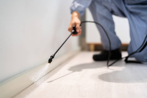 Licensed Mosquito Control service in Morgantown, MS - Show Me Pest Control