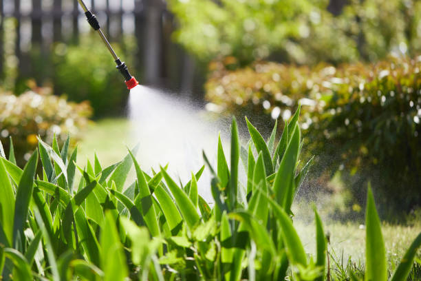 24/7 Emergency Mosquito Control experts in Morgantown, MS
