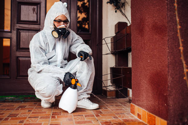 Reliable Mosquito Control contractor in Morgantown, MS by Show Me Pest Control