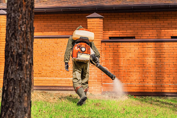 Top rated local Mosquito Control specialists in Morgantown, MS